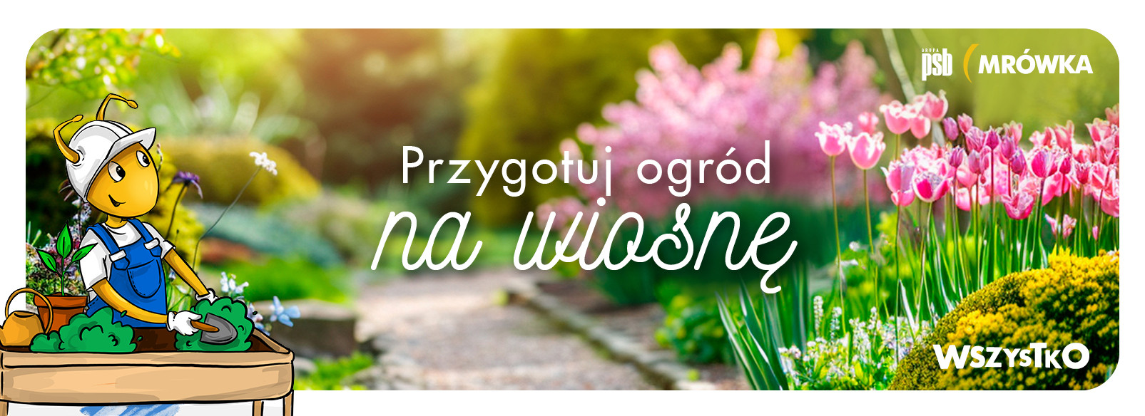 Grupa PSB mrowka PSB Mrówka Mrągowo