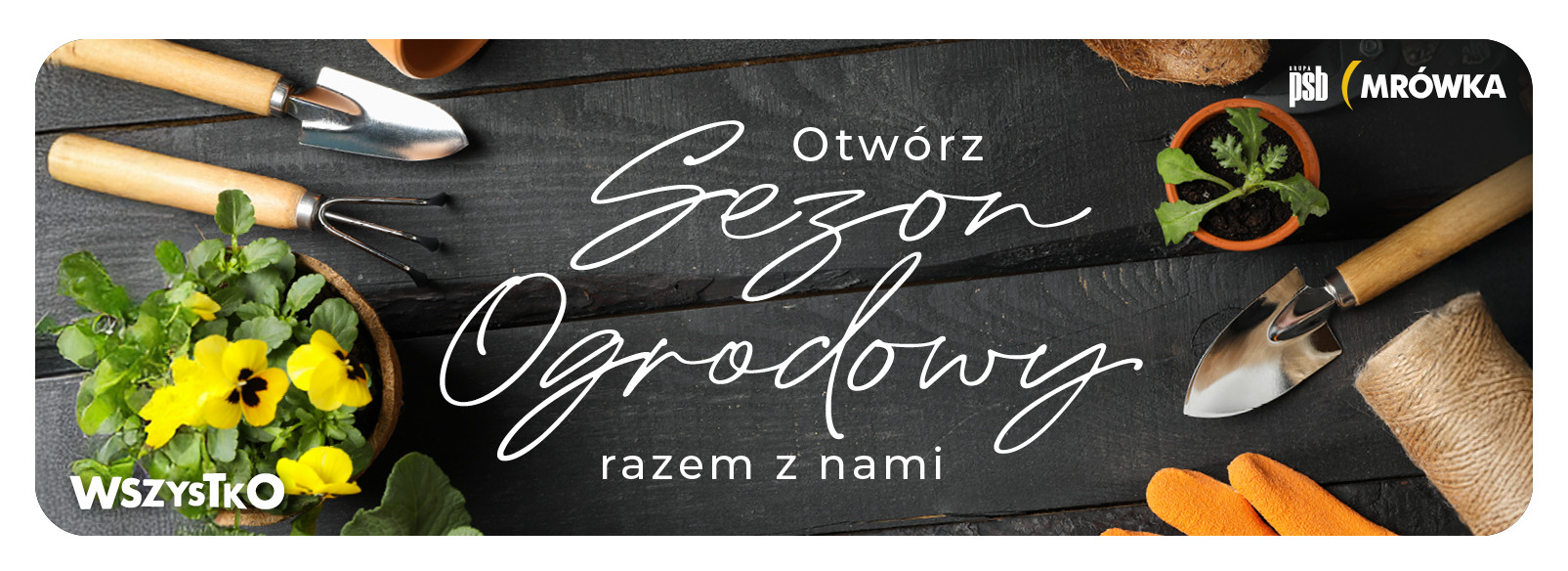 Grupa PSB mrowka PSB Mrówka Mrągowo