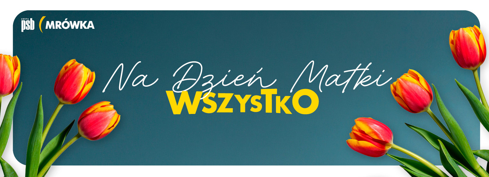 Grupa PSB mrowka PSB Mrówka Mrągowo