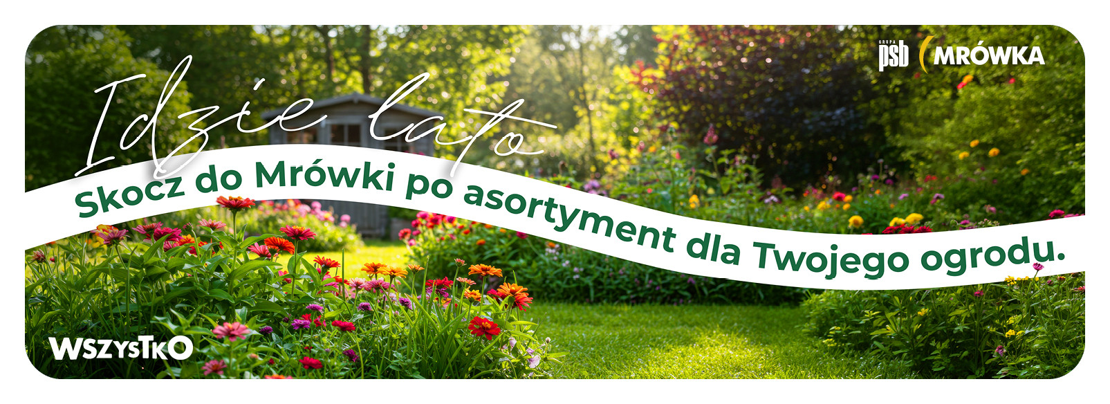 Grupa PSB mrowka PSB Mrówka Mrągowo